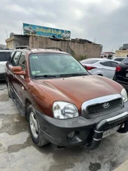 1000428233