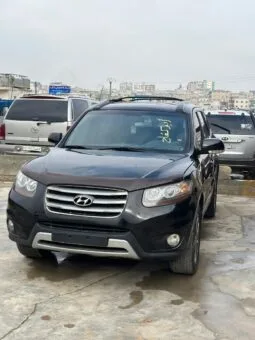 1000428332