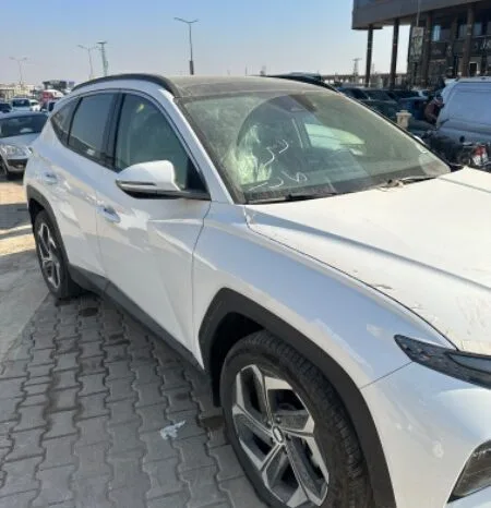 
								 جديد 2023 هيونداي توسان ممتلئ									