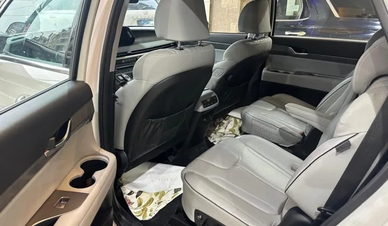 
								 جديد هيونداي – Hyundai باليساد – Palisade ممتلئ									
