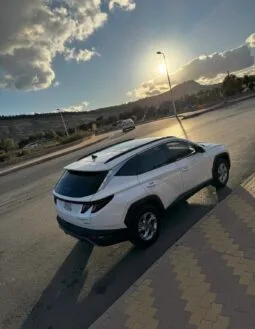 
										 هيونداي – Hyundai توسان – Tusan ممتلئ									