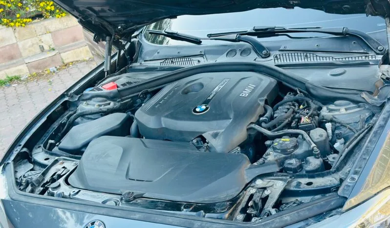 
								 بي ام دابيليو – BMW 220 ممتلئ									
