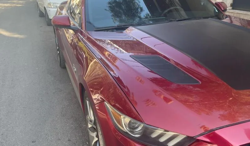 
								 فورد – Ford Mustang ممتلئ									
