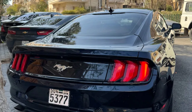 
								 فورد – Ford Mustang ممتلئ									