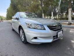 
										 هوندا – Honda اكورد – Accord ممتلئ									