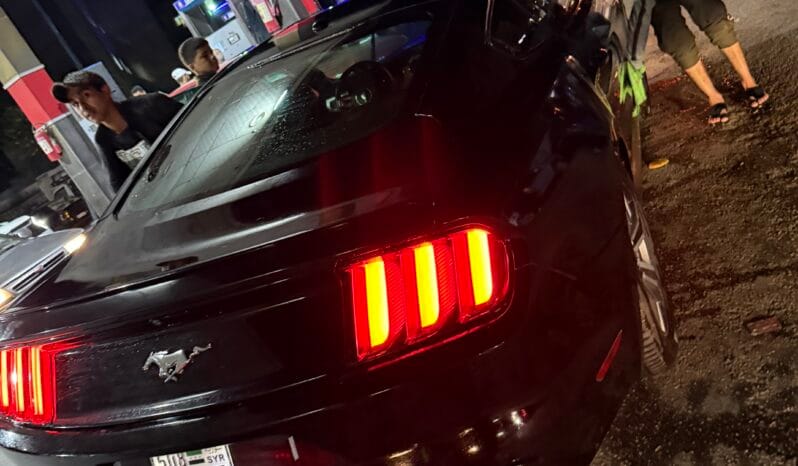 
								 فورد – Ford Mustang ممتلئ									