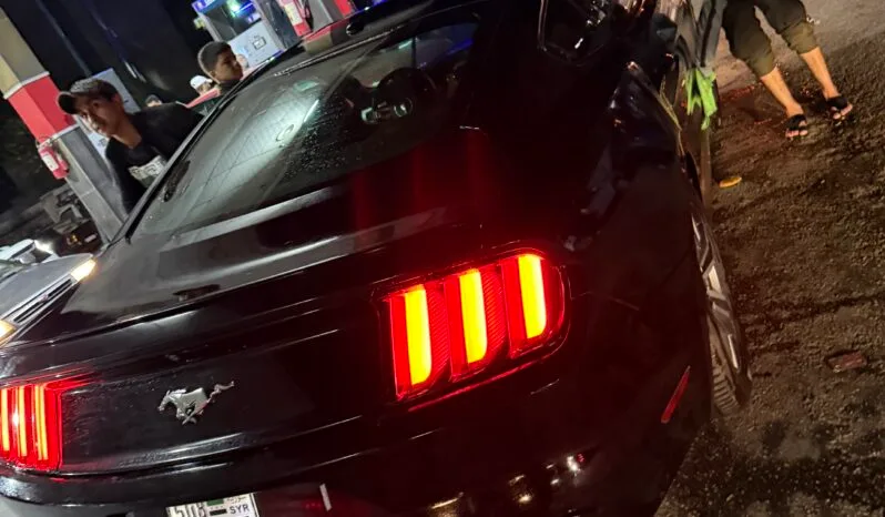 
								 فورد – Ford Mustang ممتلئ									