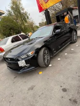 
										 فورد – Ford Mustang ممتلئ									