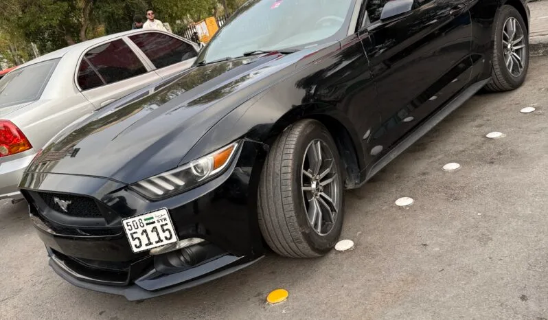 
								 فورد – Ford Mustang ممتلئ									