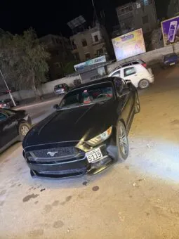 
										 فورد – Ford Mustang ممتلئ									
