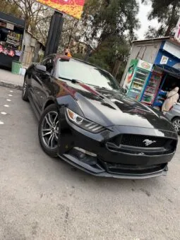 
										 فورد – Ford Mustang ممتلئ									