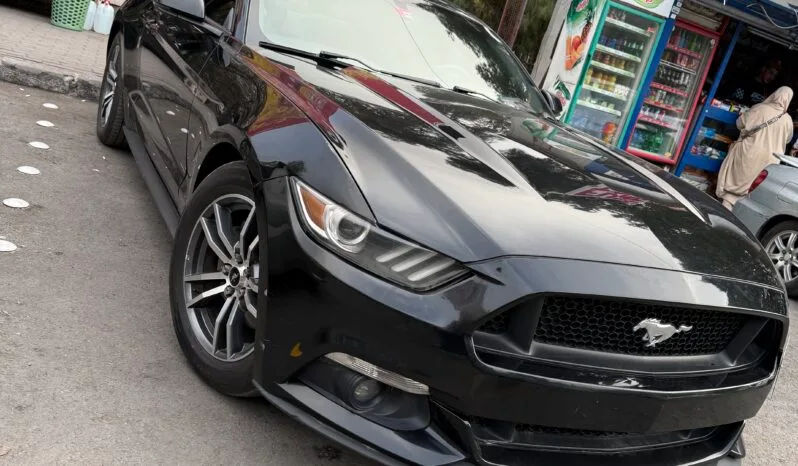 
								 فورد – Ford Mustang ممتلئ									