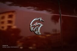 
										 دودج – Dodge تشالينجير – Challenger ممتلئ									