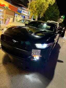 
										 فورد – Ford Mustang ممتلئ									