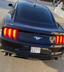 
										 فورد – Ford Mustang ممتلئ									