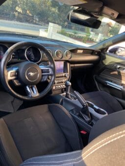 
										 فورد – Ford Mustang ممتلئ									