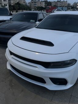 
										 دودج – Dodge تشارجر – Charger ممتلئ									