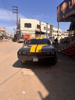 
										 دودج – Dodge تشالينجير – Challenger ممتلئ									