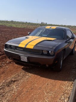 
										 دودج – Dodge تشالينجير – Challenger ممتلئ									