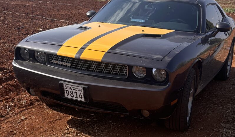 
								 دودج – Dodge تشالينجير – Challenger ممتلئ									