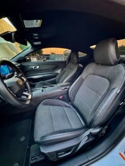 
										 فورد – Ford Mustang ممتلئ									