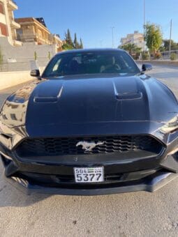 
										 فورد – Ford Mustang ممتلئ									