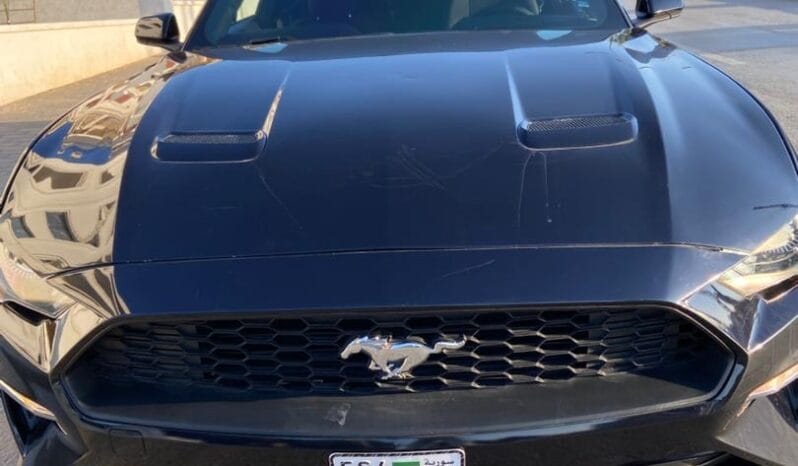 
								 فورد – Ford Mustang ممتلئ									