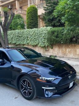 فورد – Ford Mustang