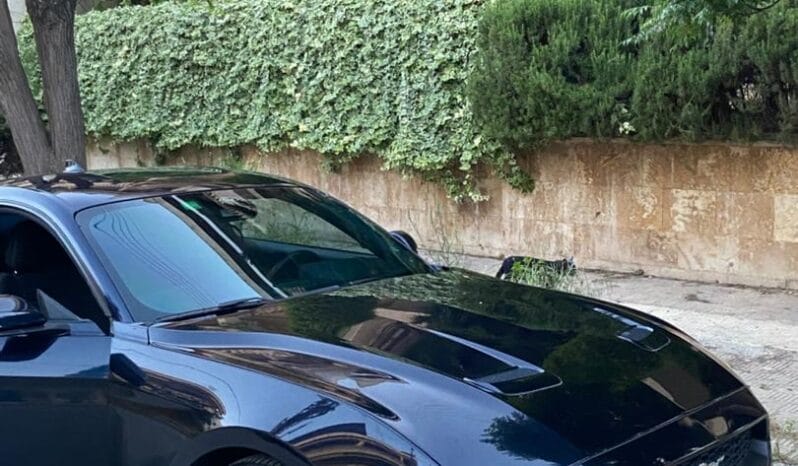 
								 فورد – Ford Mustang ممتلئ									