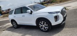 
										 هيونداي – Hyundai باليساد – Palisade ممتلئ									
