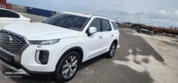 
										 هيونداي – Hyundai باليساد – Palisade ممتلئ									
