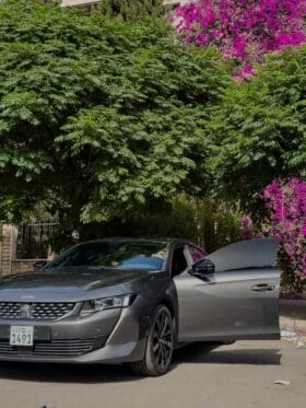 بيجو – Peugeot 508