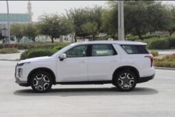 
										 هيونداي – Hyundai باليساد – Palisade ممتلئ									