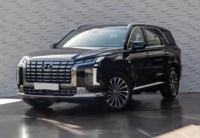 
								 هيونداي – Hyundai باليساد – Palisade ممتلئ									