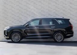 
										 هيونداي – Hyundai باليساد – Palisade ممتلئ									