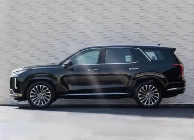
								 هيونداي – Hyundai باليساد – Palisade ممتلئ									