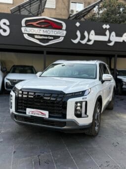 
										 جديد هيونداي – Hyundai باليساد – Palisade ممتلئ									