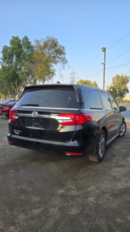 
										 مستعمل هوندا – Honda اودساي – odyssey ممتلئ									