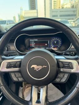 
										 فورد – Ford Mustang ممتلئ									