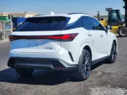 
										 ليكسوس – Lexus Series LX ممتلئ									