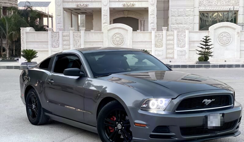 
								 فورد – Ford Mustang ممتلئ									
