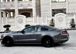 
										 فورد – Ford Mustang ممتلئ									