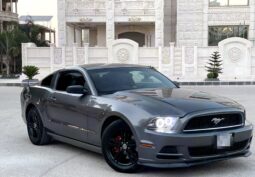 
										 فورد – Ford Mustang ممتلئ									