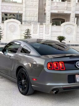 
										 فورد – Ford Mustang ممتلئ									