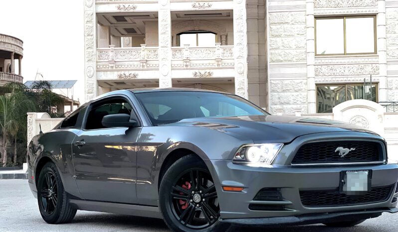 
								 فورد – Ford Mustang ممتلئ									