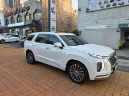 
										 هيونداي – Hyundai باليساد – Palisade ممتلئ									