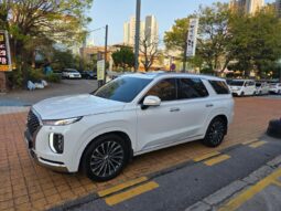 
										 هيونداي – Hyundai باليساد – Palisade ممتلئ									