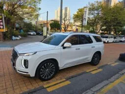 
										 هيونداي – Hyundai باليساد – Palisade ممتلئ									