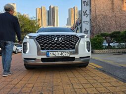 
										 هيونداي – Hyundai باليساد – Palisade ممتلئ									