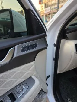 
										 هيونداي – Hyundai باليساد – Palisade ممتلئ									
